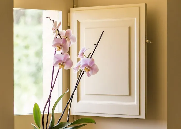 D'hotes De Chateau Renon 住宿加早餐酒店 3*