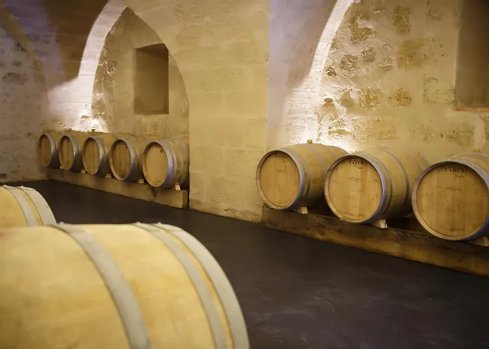 D'hotes De Chateau Renon Bed & Breakfast Tabanac